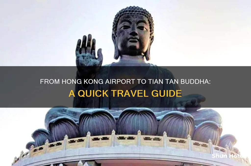 how to get to tian tan buddha from airport