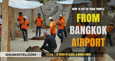 Travel Guide: Bangkok Airport to Tiger Temple – Easy Route Tips