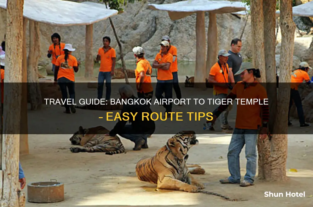 how to get to tiger temple from bangkok airport