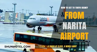 Traveling to Tokyo Disney: Easy Narita Airport Transfer Guide