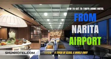 Travel Guide: Narita Airport to Tokyo Dome Hotel Easy Route