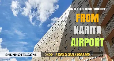 Travel Guide: Narita Airport to Tokyo Emion Hotel Route