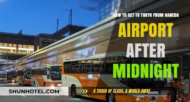 Late-Night Travel Guide: Reaching Tokyo from Haneda Airport After Midnight