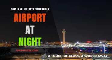 Nighttime Travel Guide: Narita Airport to Tokyo Made Easy