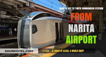 Narita Airport to Tokyo Shinkansen Station: Quick & Easy Travel Guide