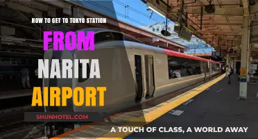 Traveling from Narita Airport to Tokyo Station: Easy Transport Guide