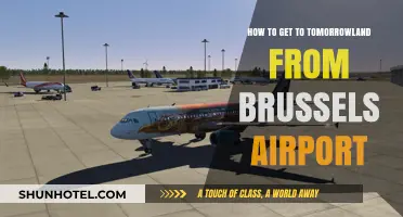 Brussels Airport to Tomorrowland: Your Ultimate Travel Guide