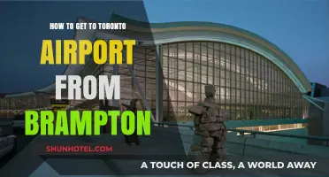 Easy Brampton to Toronto Airport Travel Guide: Best Routes & Tips