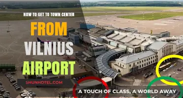 Easy Transport Options: Vilnius Airport to Town Center Guide