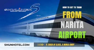 Easy Guide: Train Travel from Narita Airport to Tokyo