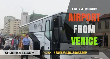 Traveling from Venice to Treviso Airport: Easy Transport Options