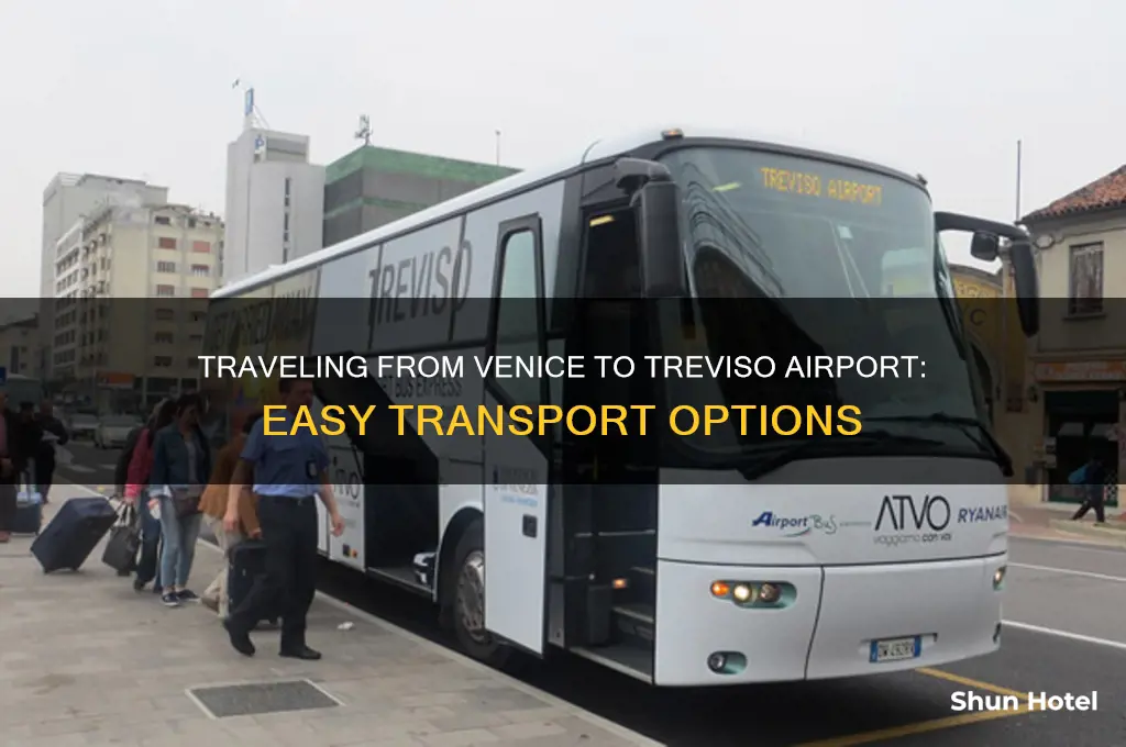 how to get to treviso airport from venice