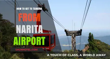 Traveling to Tsukuba: Easy Narita Airport to City Guide