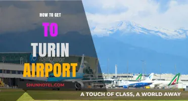 Easy Guide: Navigating Your Way to Turin Airport Stress-Free