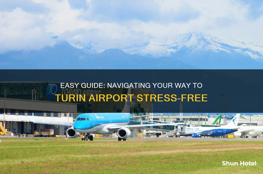 how to get to turin airport