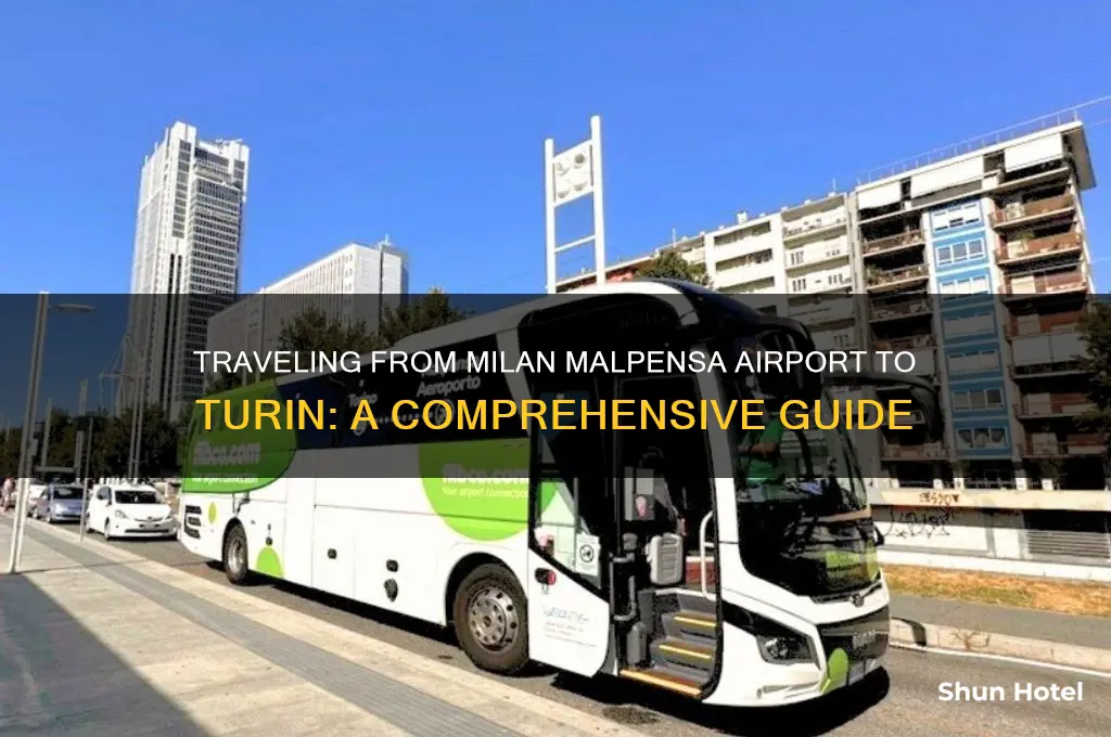 how to get to turin from milan le vicente airport