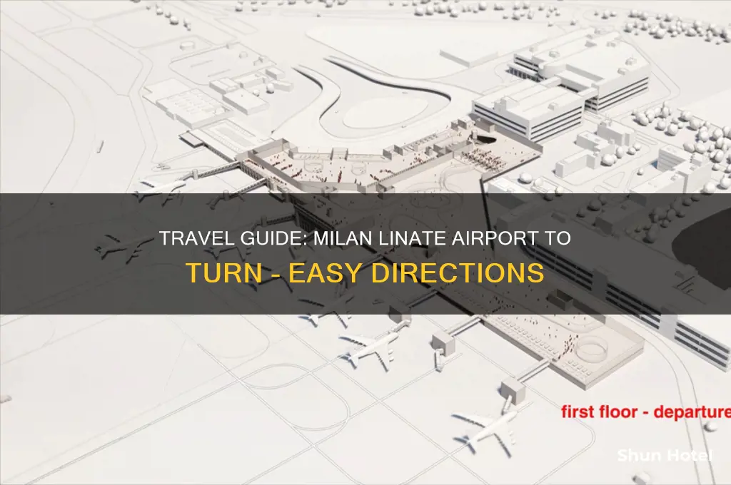 how to get to turn from milan le vicente airport