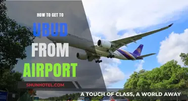Easy Travel Guide: Airport to Ubud Transport Options & Tips