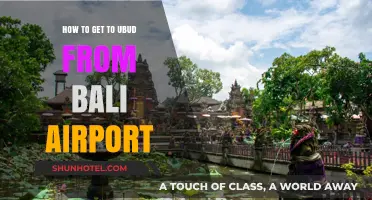 Travel Guide: Easy Transport Options from Bali Airport to Ubud