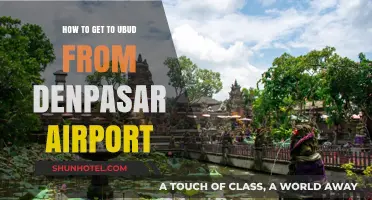 Travel Guide: Easy Transport Options from Denpasar Airport to Ubud