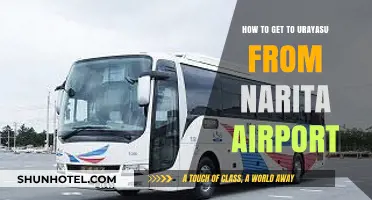 Travel Guide: Easy Ways to Reach Urayasu from Narita Airport