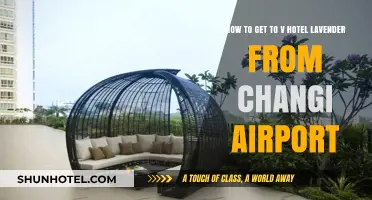 Travel Guide: Changi Airport to V Hotel Lavender, Singapore