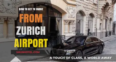 Travel Guide: Zurich Airport to Vaduz, Liechtenstein - Easy Transit Tips