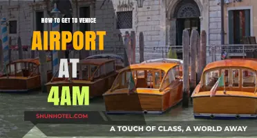 Early Morning Travel Guide: Reaching Venice Airport by 4 AM