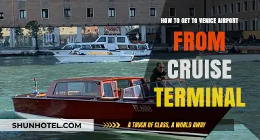 Easy Venice Airport Transfer: Cruise Terminal to VCE Guide