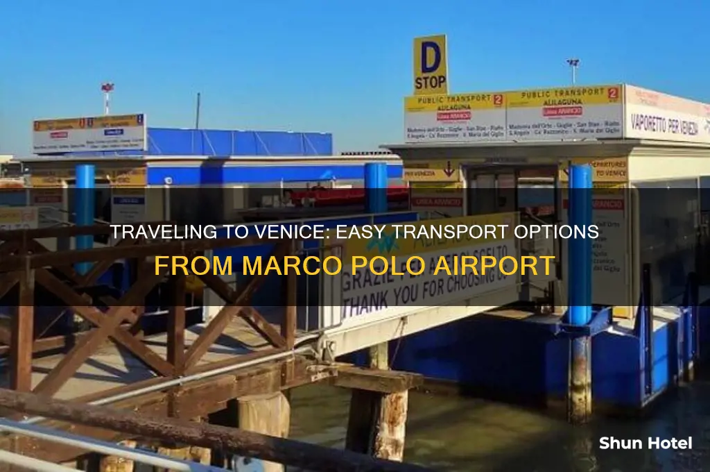 how to get to venice from marco polo airport
