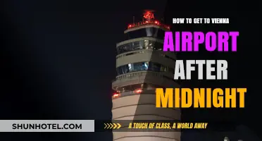 Late-Night Travel Guide: Reaching Vienna Airport After Midnight