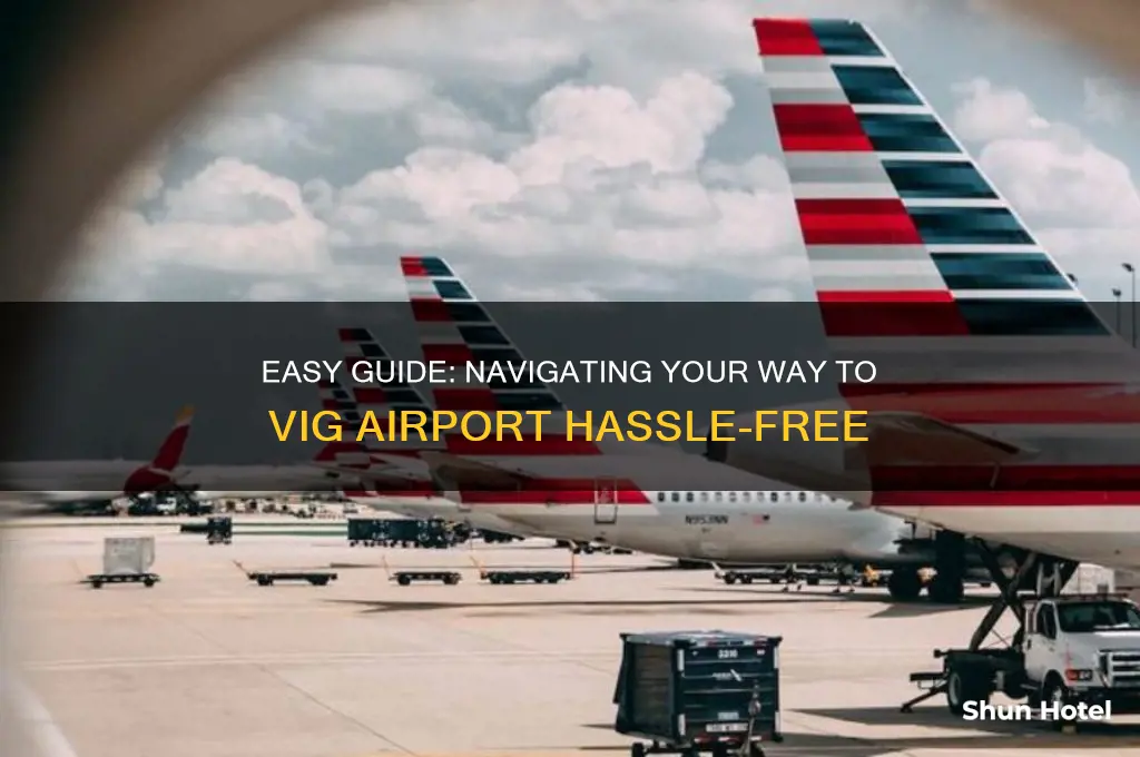 how to get to vig airport