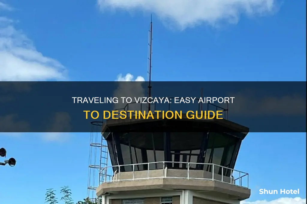 how to get to viscaya from airport
