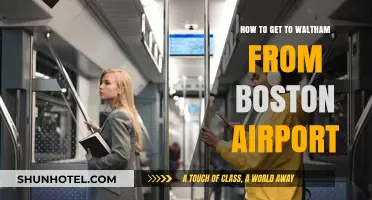 Easy Travel Guide: Boston Airport to Waltham by Car or Transit