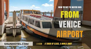 Venice Airport to Water Bus: Easy Transfer Guide for Travelers