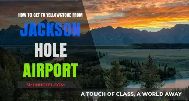 Traveling to Yellowstone: Easy Route from Jackson Hole Airport