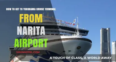 Travel Guide: Narita Airport to Yokohama Cruise Terminal Made Easy