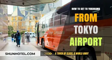 Travel Guide: Tokyo Airport to Yokohama - Easy Transport Options
