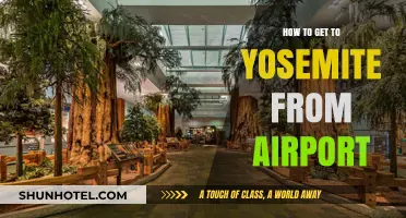 From Airport to Yosemite: Your Ultimate Travel Guide