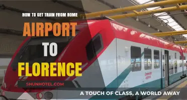 Travel Guide: Rome Airport to Florence by Train – Easy Steps