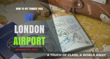 Quick Guide: Obtaining a Transit Visa at London Airport