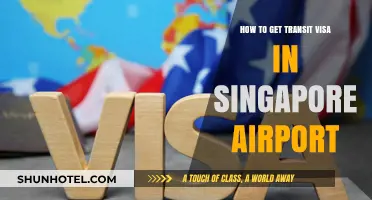 Singapore Airport Transit Visa: A Quick Guide for Travelers
