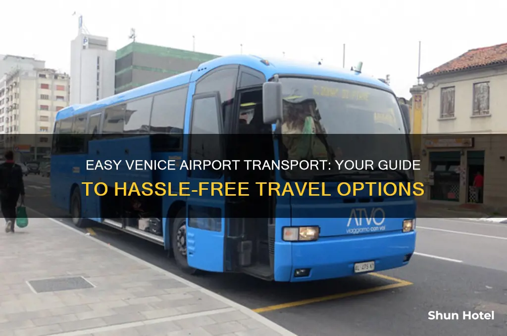 how to get transportation from venice airport