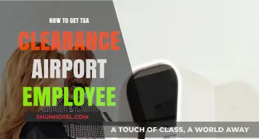 How to Obtain TSA Clearance as an Airport Employee: A Guide