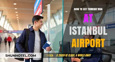 Obtaining a Turkish Visa on Arrival at Istanbul Airport: A Guide