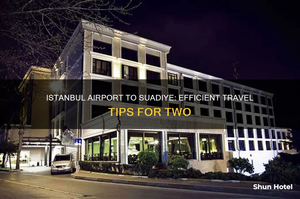 how to get two people from istanbul airport to suadiye