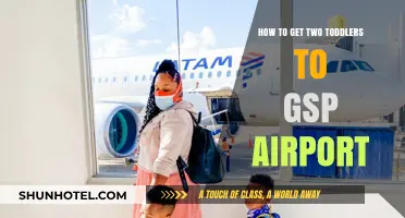 Traveling with Toddlers: Smooth Journey to GSP Airport Tips