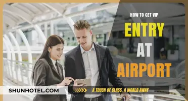 Unlock VIP Airport Entry: Tips for Seamless, Exclusive Travel Access