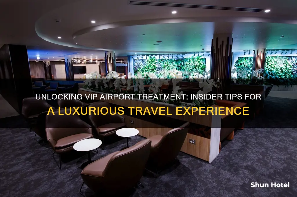 how to get vip treatment at airport