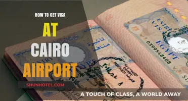 Cairo Airport Visa Guide: Quick Steps for On-Arrival Approval